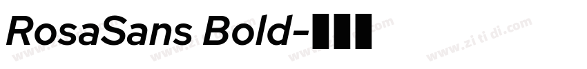 RosaSans Bold字体转换